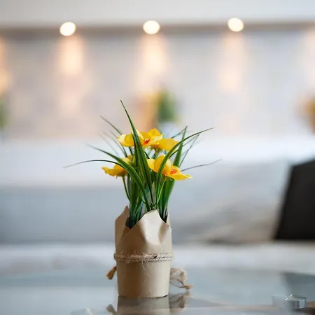Designer Two-bedroom Apartamento *